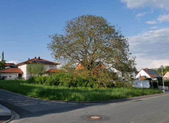 Leeres Bauland Gräfenberg