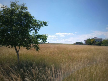 Frischluftschneise West III Altenheim Gräfenberg