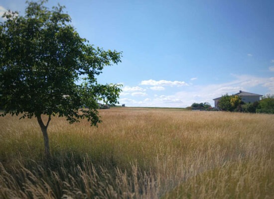 Frischluftschneise West III Altenheim Gräfenberg